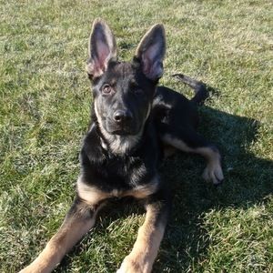 Meet your Posher, Andrea